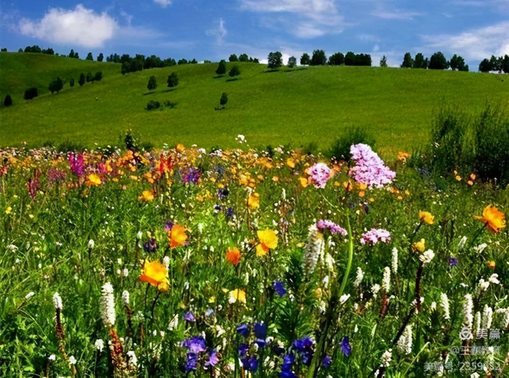 “秀美王寨，靓丽教育”之三——学校巡礼篇