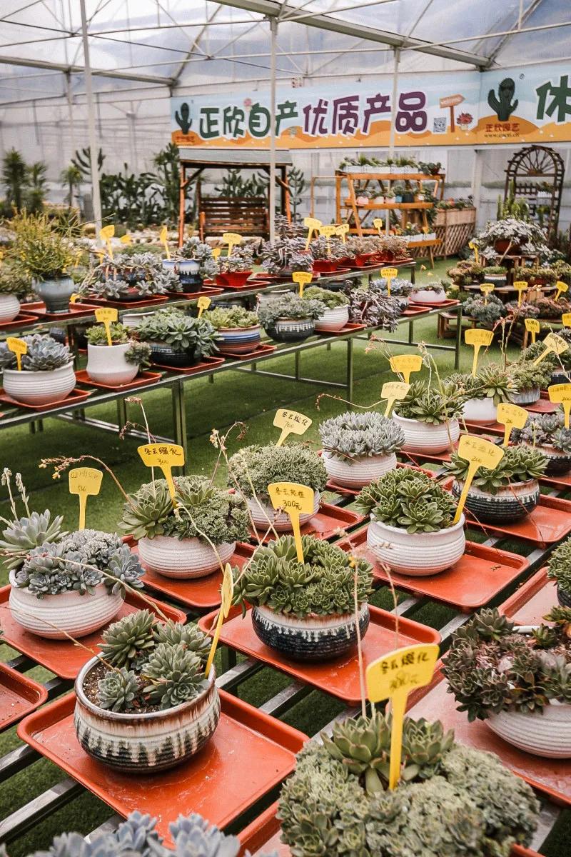 在大山深处幽静绝美的村落,深藏大山中的村落