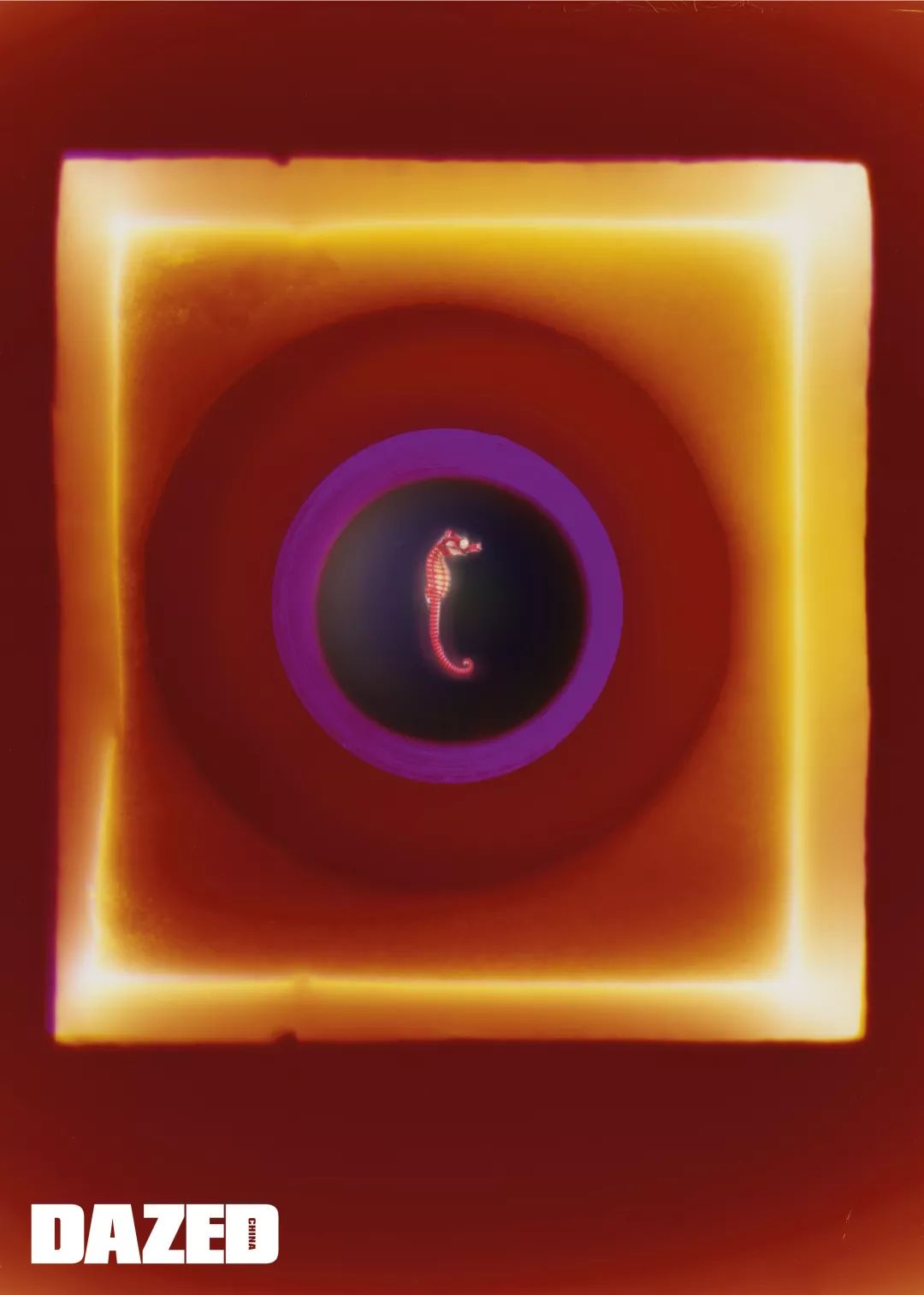 dazed杂志有中国版吗,dazed杂志