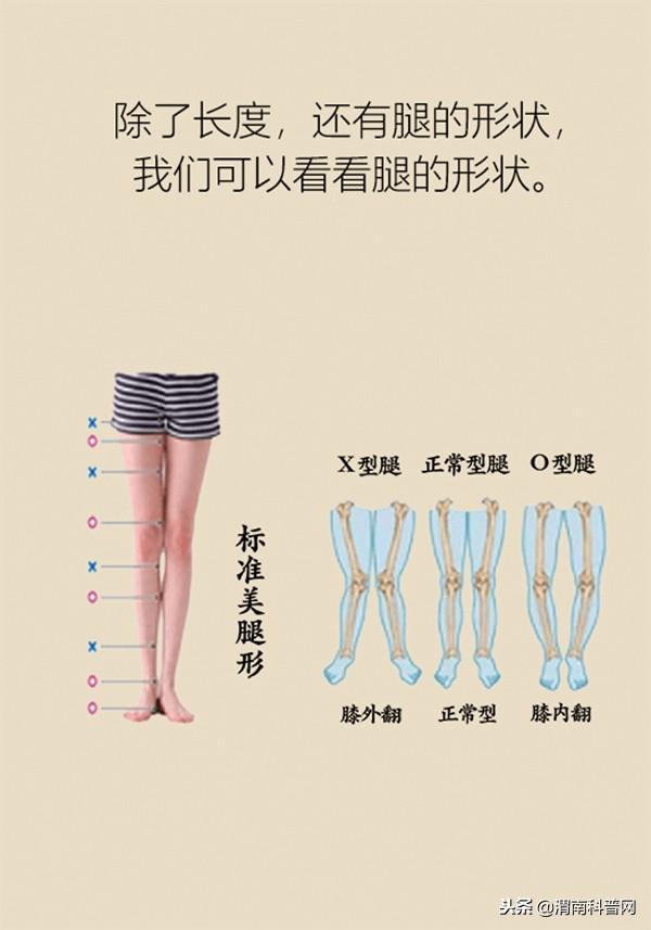 摆脱大粗长腿打造细长直腿,怎样能练出大长腿