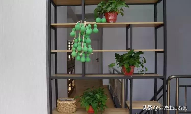 市民排队免费吃蛋糕：运城天鹅湾“生日颂烘焙”开业大酬宾