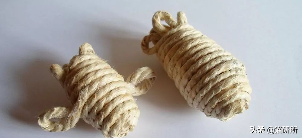 哪些猫咪玩具对小猫有害 (对猫咪有益的玩具)