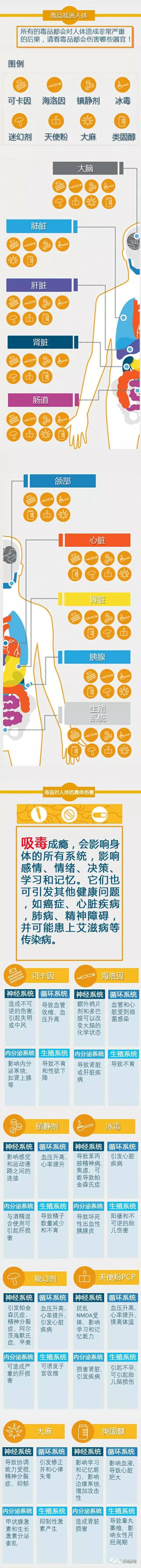 禁毒小知识吸毒的危害,禁毒小知识吸毒会怎么处罚