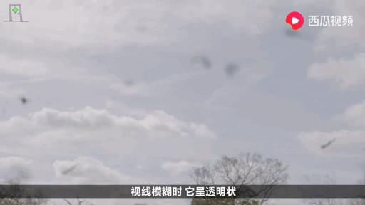 眼睛里有东西飘来飘去是怎么回事,眼睛里面有东西在飘是什么情况