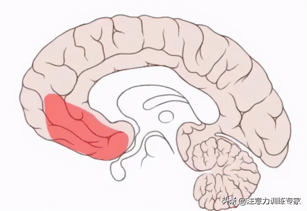 一考试就紧张脑子一片空白,怎么解决一考试就大脑一片空白