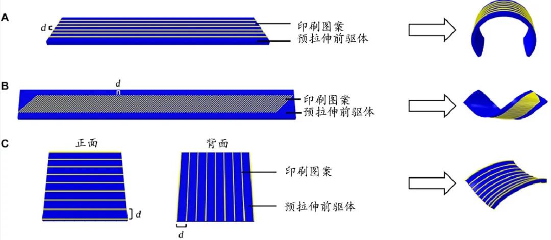 4d打印技术教学,什么是4D打印技术