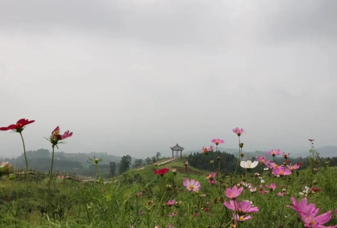 淮口风景区,淮口附近游玩推荐