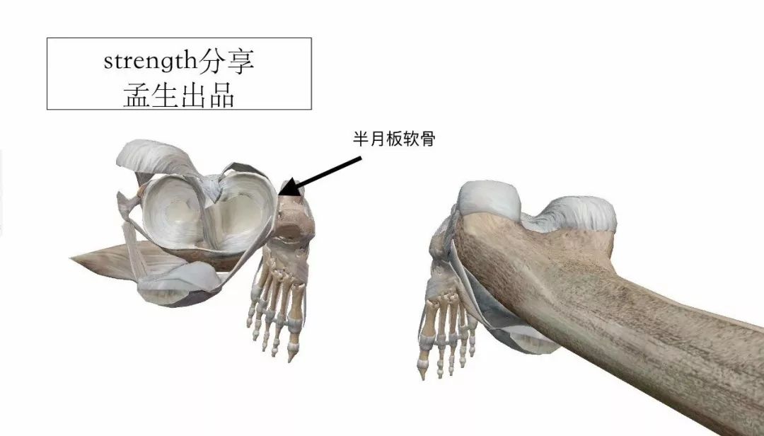 下肢热身流程,下肢热身动作