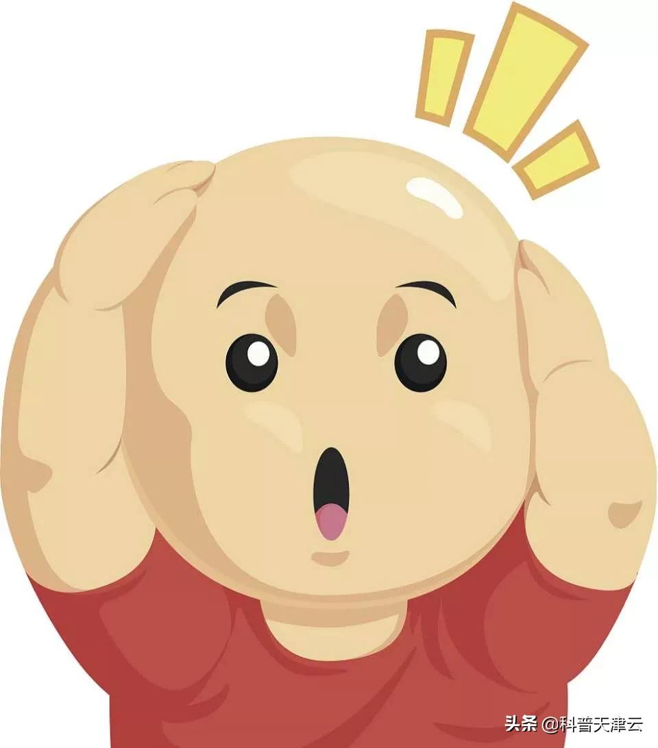 全球治愈脱发的科学正迅速发展,科学种植向日葵