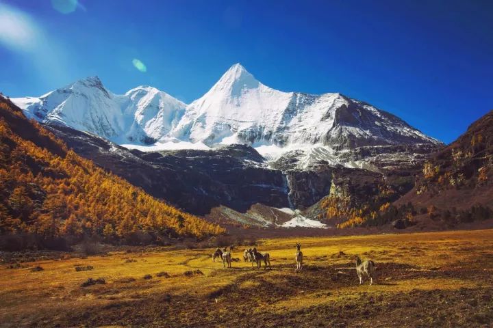 川西最美景点排行榜,四川冬季除了川西能去哪里