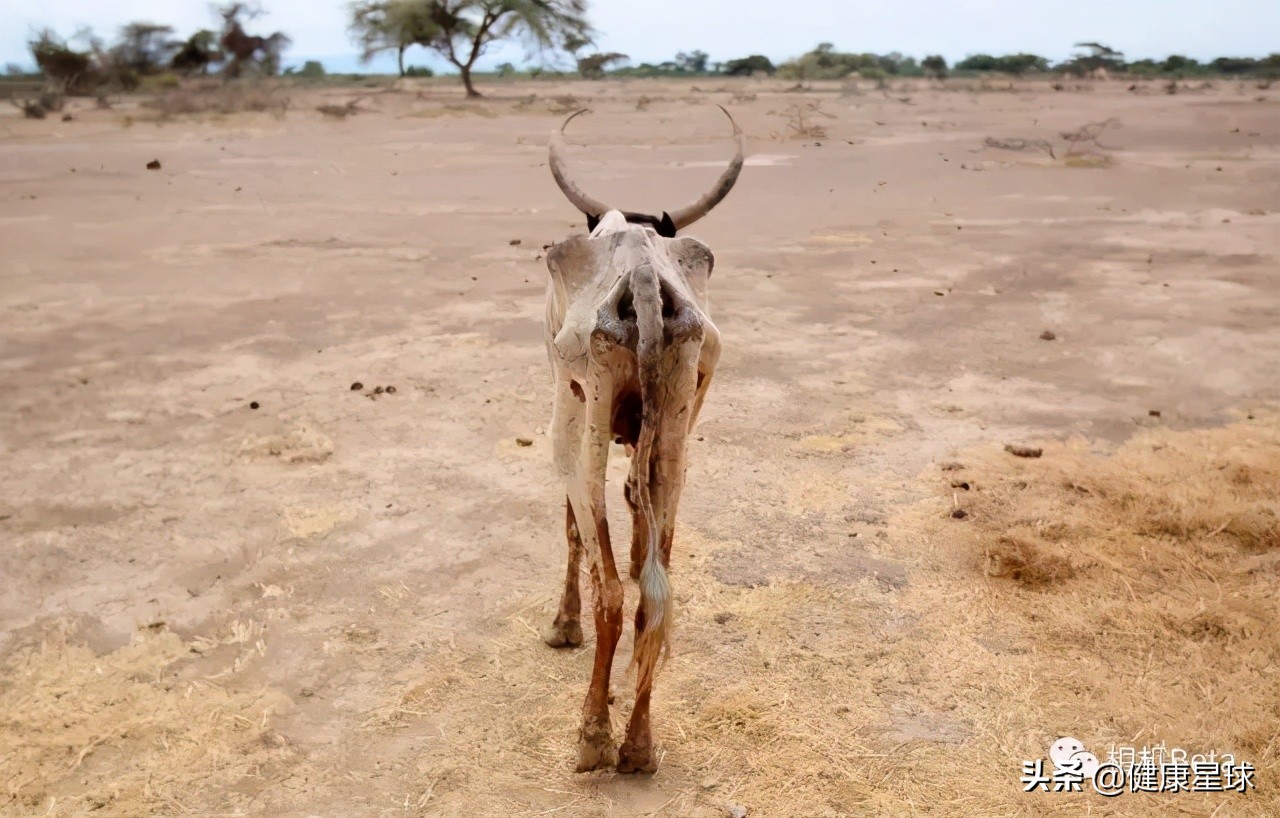 这一次不再沉默，为健康的地球发声，为未来负责