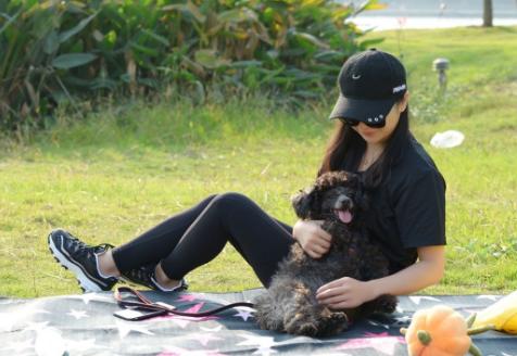 关于遛狗要拴绳,遛狗可以带点什么