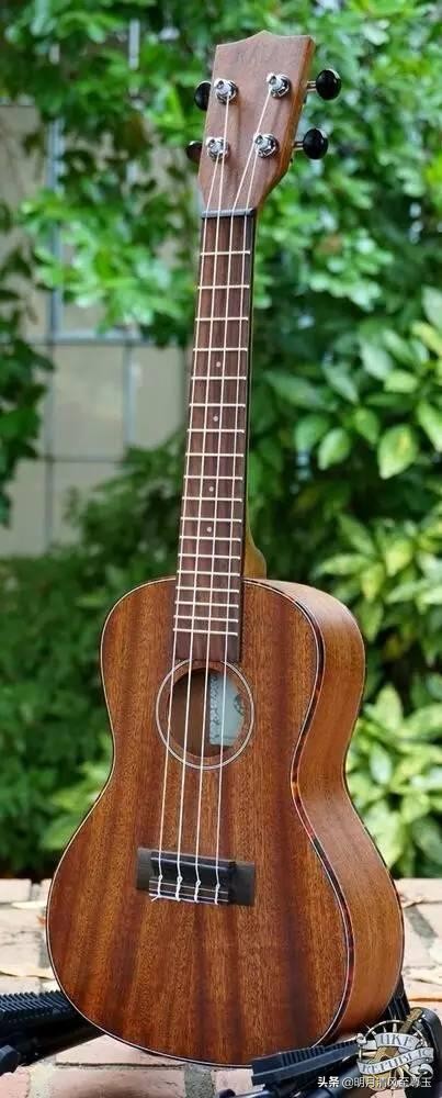 桃花心木象征爱情,桃花心木是硬木吗