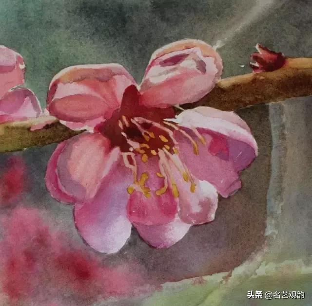 儿童水彩颜料画涂色图片,三丽鸥水彩涂色本怎么画