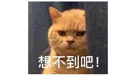 十三行工作岗位,十三行职业