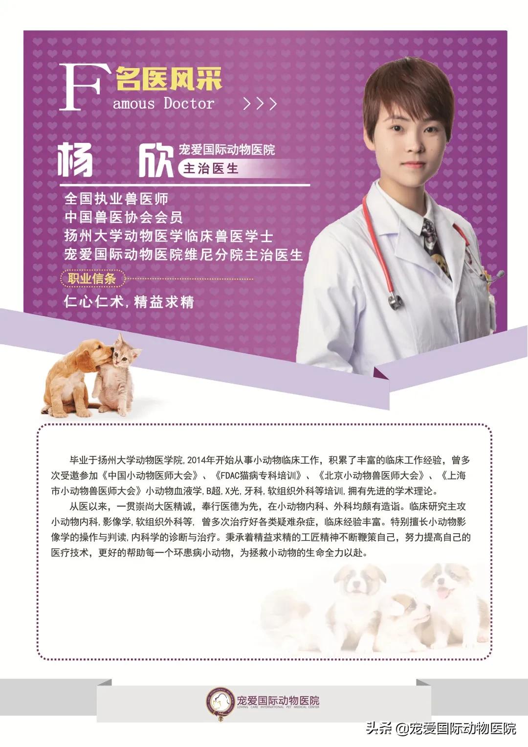 难以言说的疼完整版,猫咪肾结石的症状都有什么