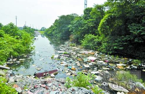 自然之美陶冶人的心灵,用心去感受自然之美