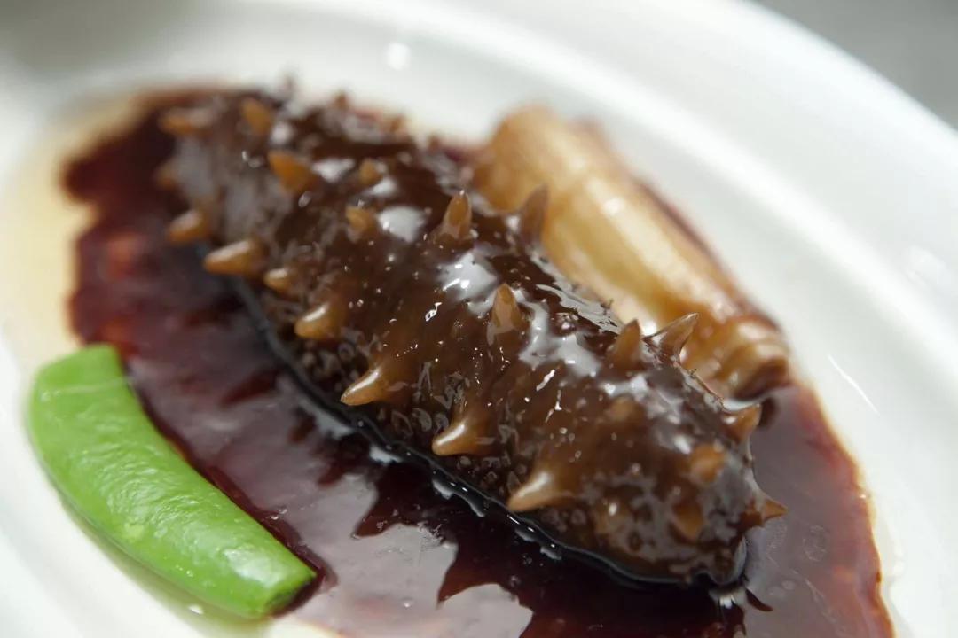 海参是北极参好还是辽参好,海参刺参光参