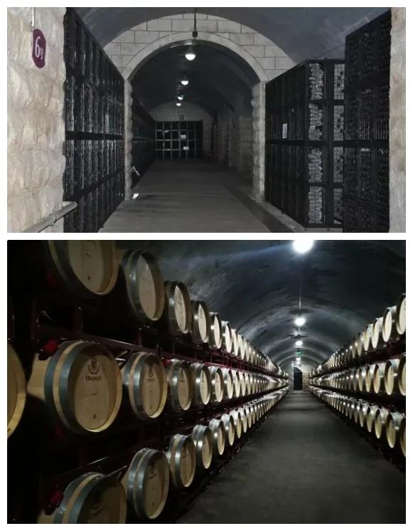 独家整理！青岛周边游最全攻略！自驾3小时内，人少景美还不贵！