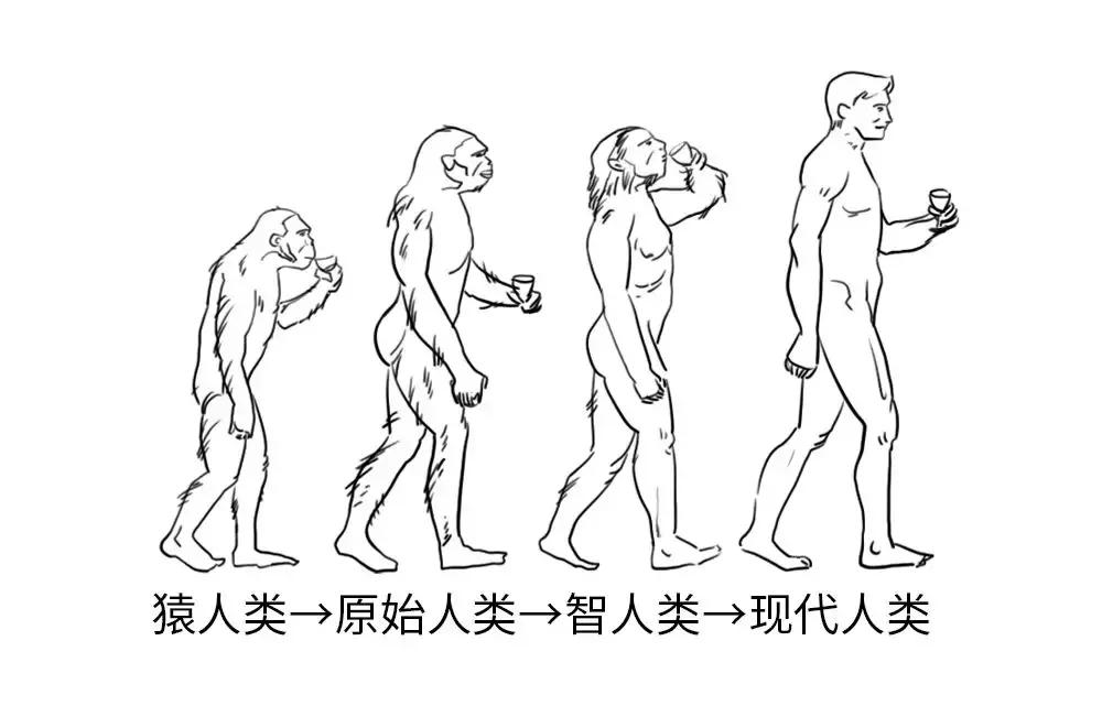 一分钟学会酿酒技巧,三分钟了解葡萄酒的酿造全过程