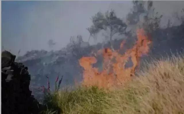 人类面临的生态困境包括哪,生态农业的可能性以及前景