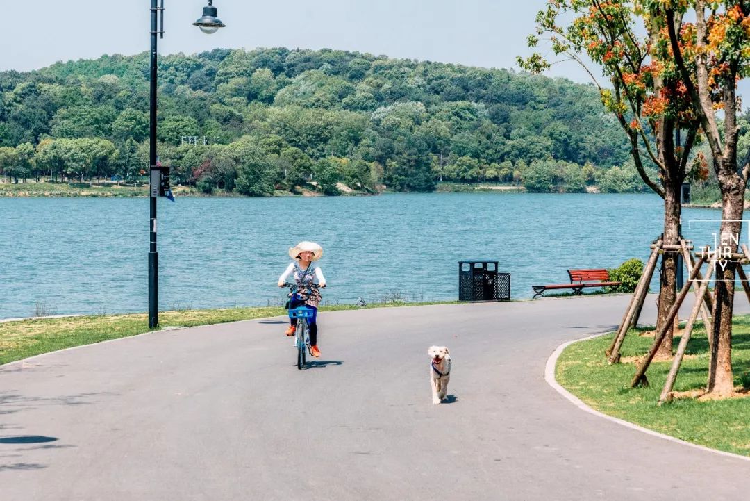 武汉冷门自驾免费景点,武汉旅游景点免费预约