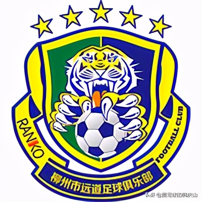 2021赛季中冠各队名单,2024中冠联赛参赛球队队徽一览