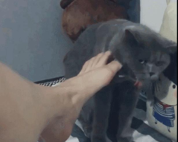 小米有品运动鞋测评,小米有品夏季男士运动鞋