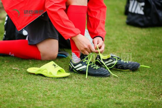 足球比赛的秘密,足球比赛重庆举行