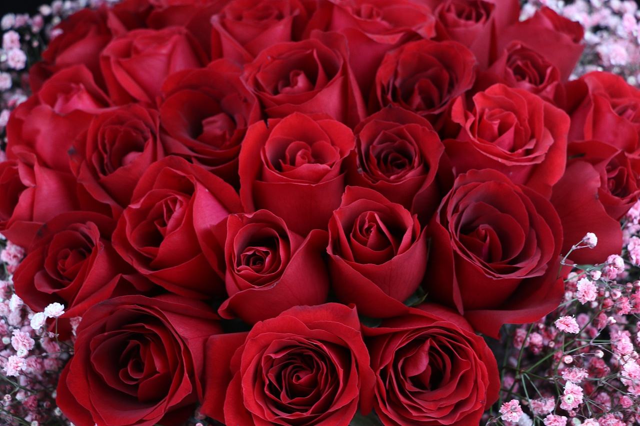 淘宝情人节,淘宝情人节卖什么产品最火