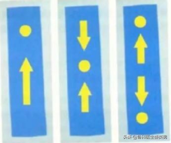 肌内贴测评,李宁国货引发争议