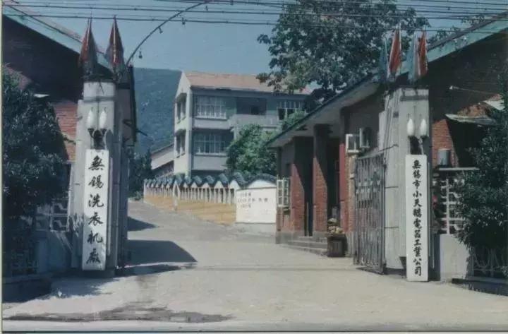 挥手再见原唱视频,江苏无锡小天鹅