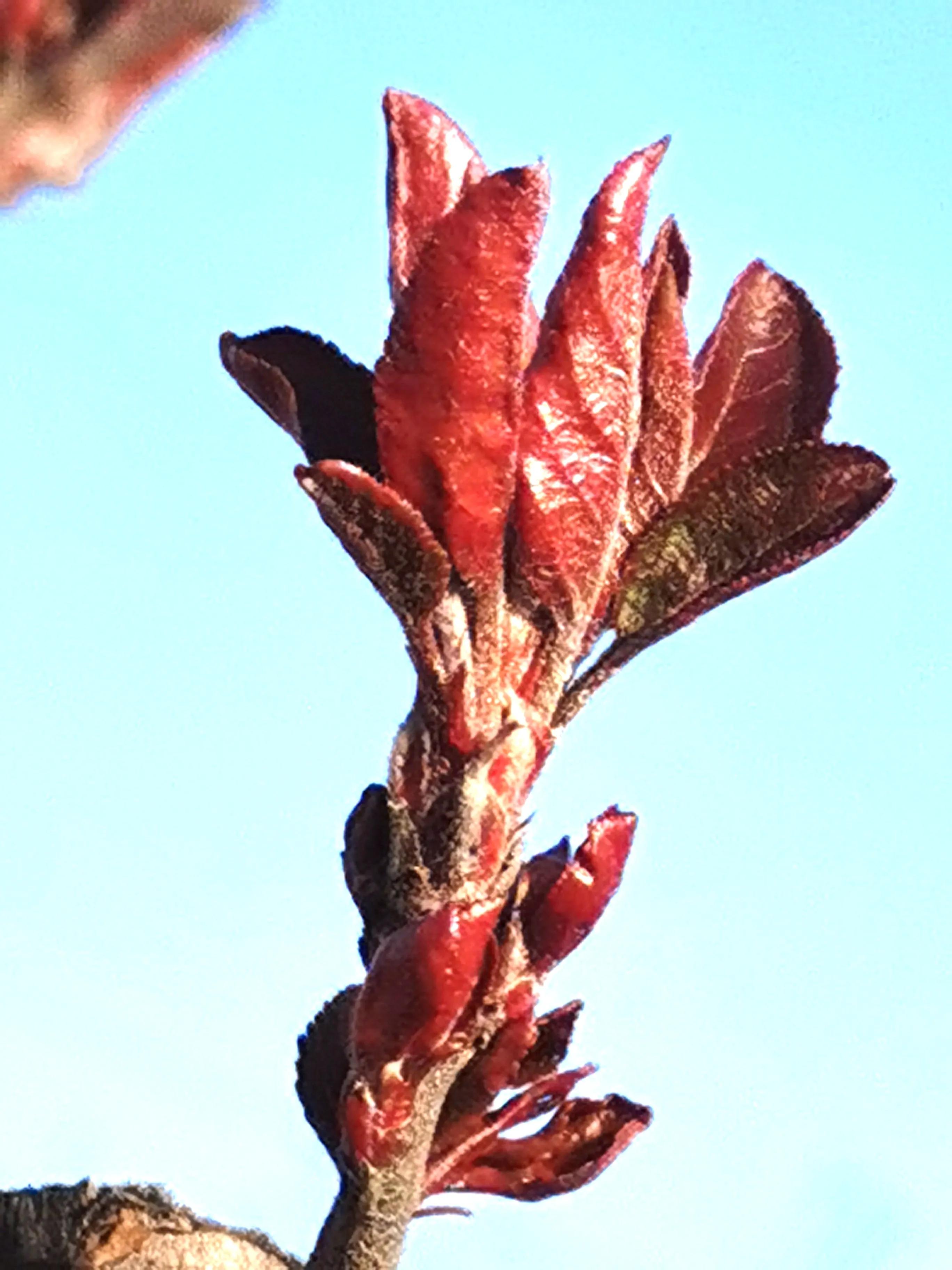 *访上**不当也会违法的（详解）