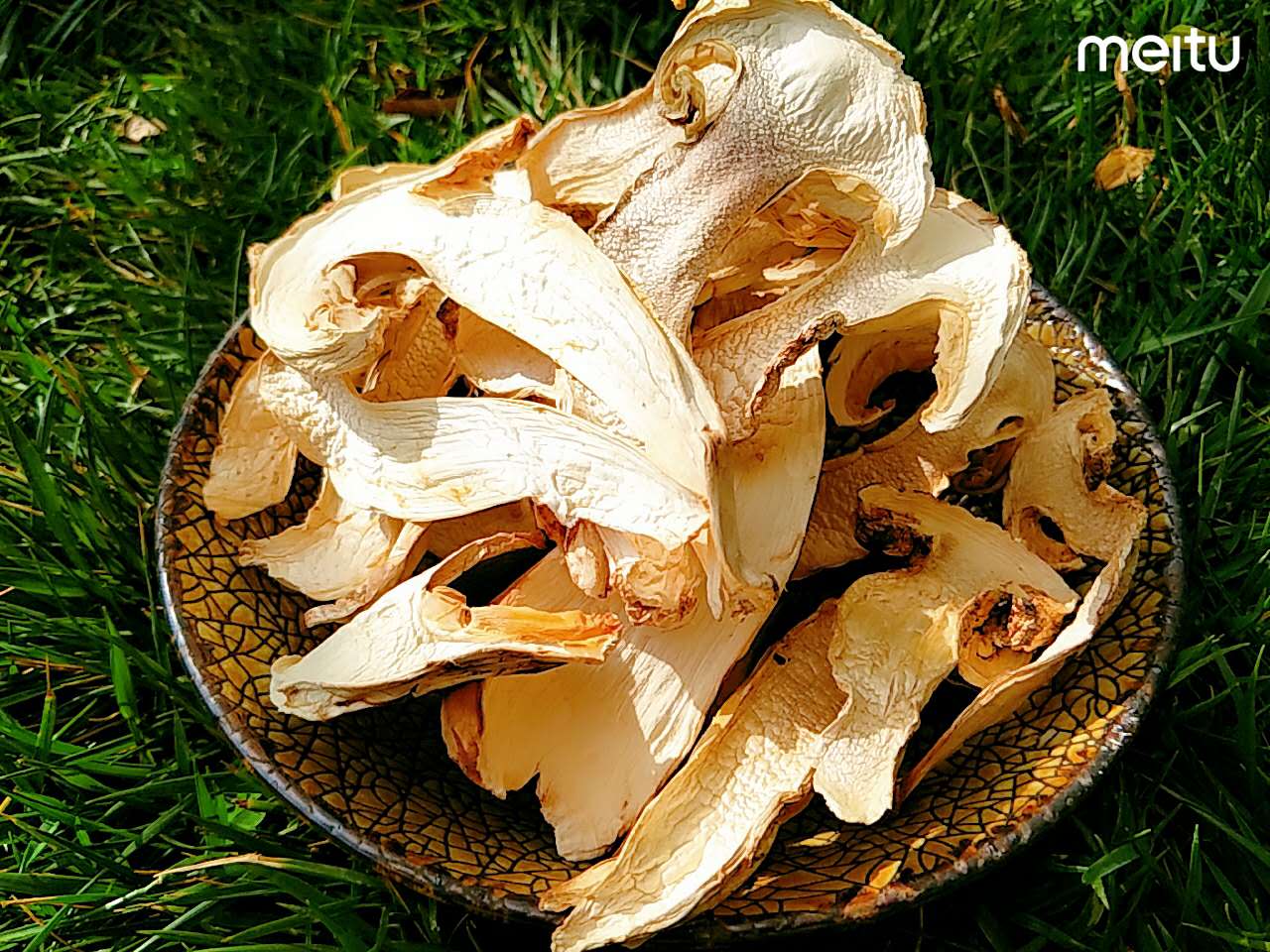 松茸和姬松茸区别,松茸和姬松茸有什么区别