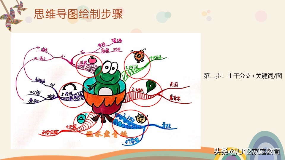 怎么引导孩子学会画思维导图,怎样教会孩子画思维导图