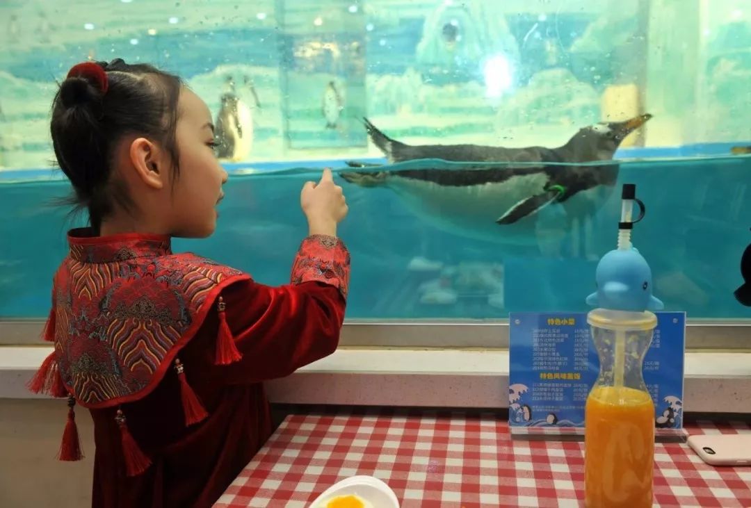 你在寒冷的室外“饥寒交迫”，我在温暖的极地馆“吃喝玩乐”