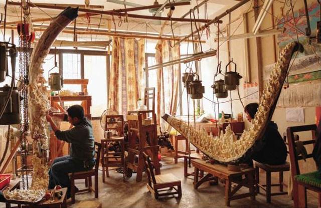 原皮猛犸象牙整牙视频,猛犸象牙是什么东西