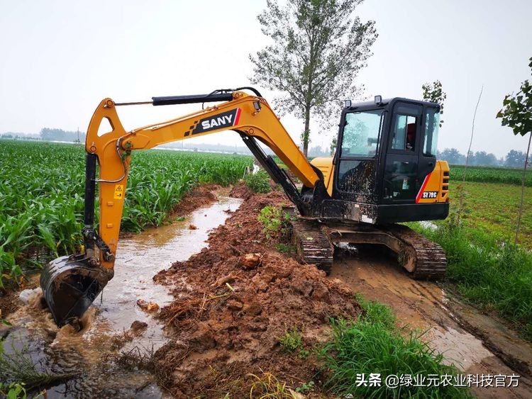 河南暴雨小麦被淹属于什么,雨水多了花生被淹了