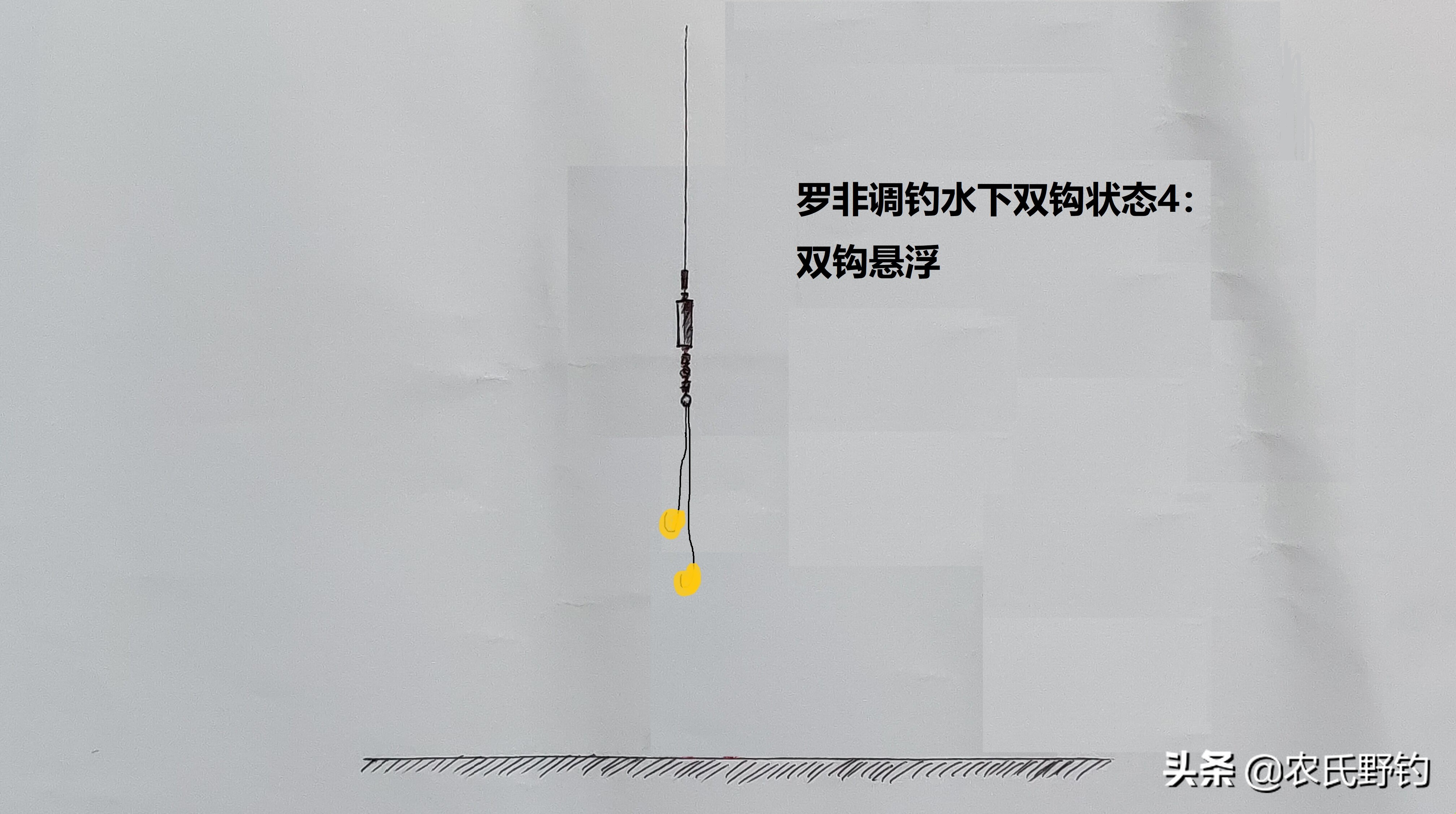 怎么钓大罗非避开小罗非,钓小罗非怎么钓到大罗非