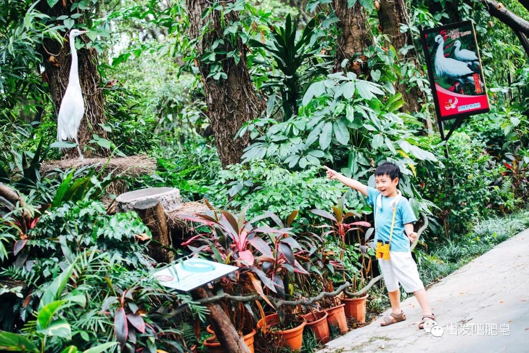 长隆飞鸟乐园怎么去长隆欢乐世界,汉溪长隆地铁站去长隆飞鸟乐园