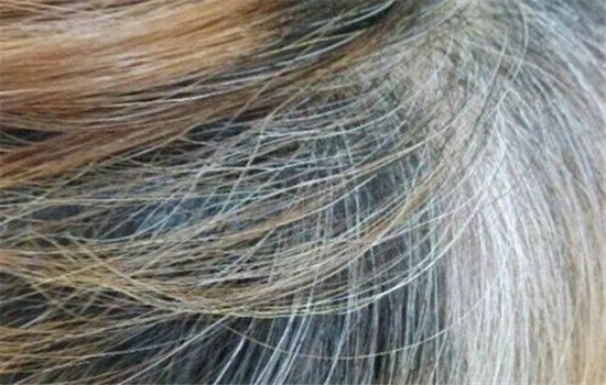 木北护肤正规吗,木北造型与木北护肤造型区别