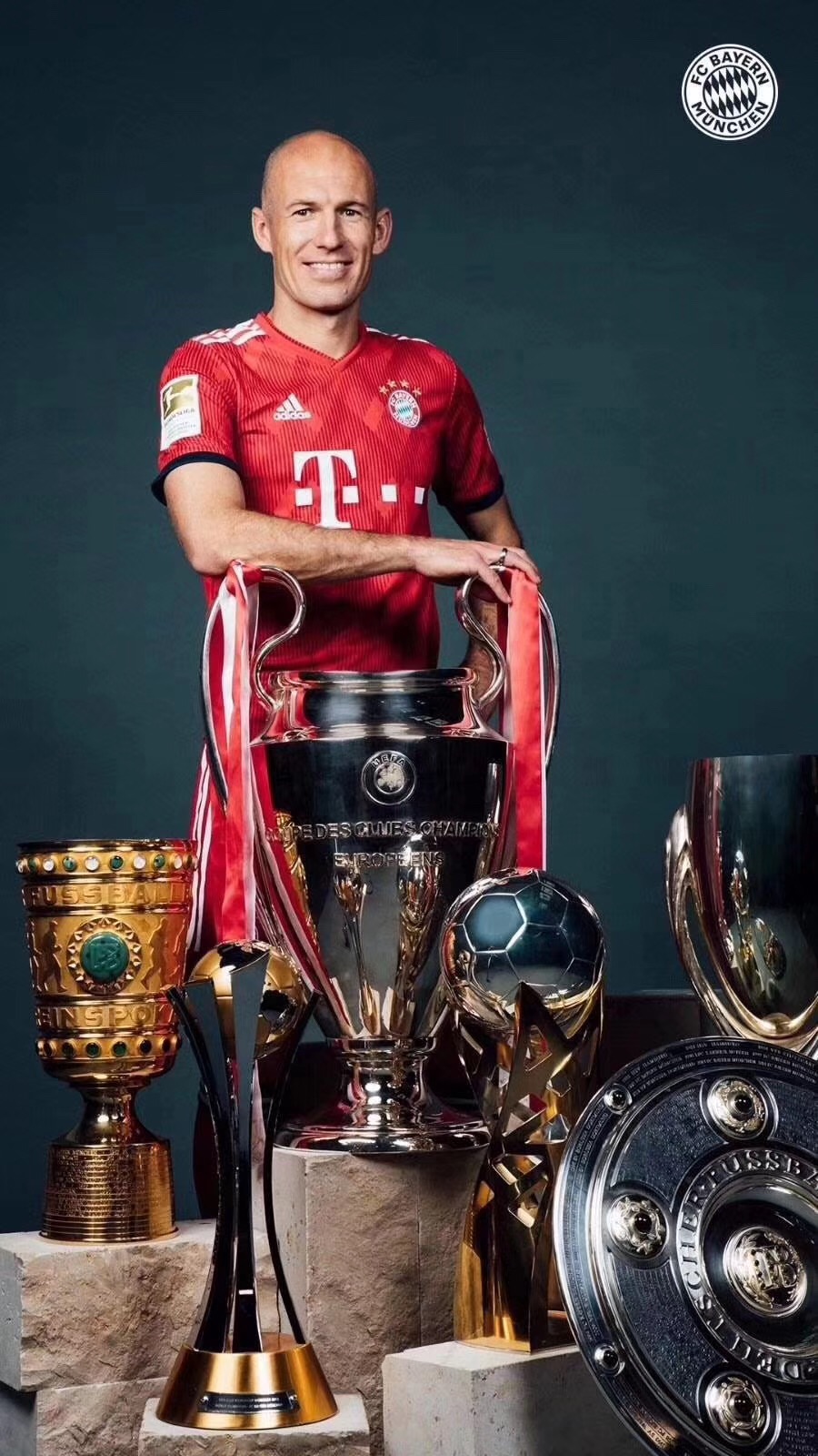 飞不过的时光，离不开我心上——送给退役的罗本