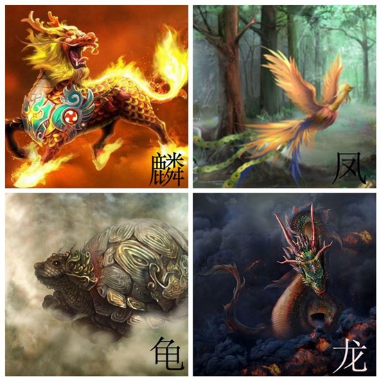 神鸟凤凰是什么来历,百鸟之王凤凰真实身份