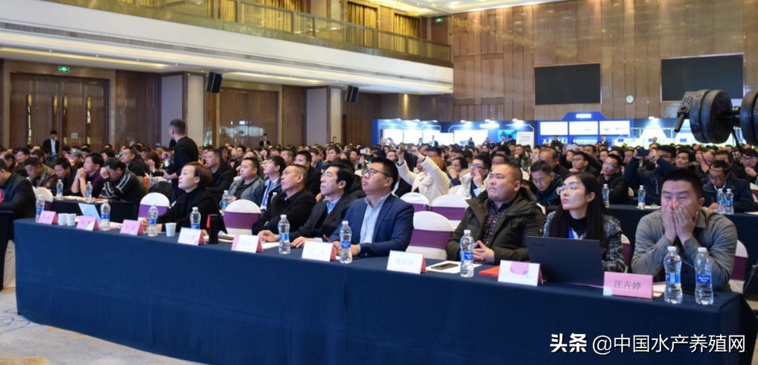 大数据+整体解决方案的新时代，看水世纪如何将智慧渔业水平衡全新指导概念，推动水产养殖业实现再一次飞跃