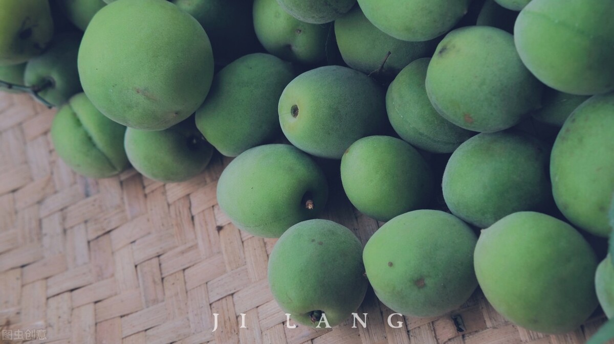 青梅10块钱一斤,青梅现在卖多少钱一斤