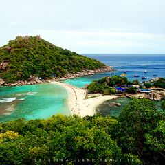 涛岛潜水考证,ow自由潜水证书