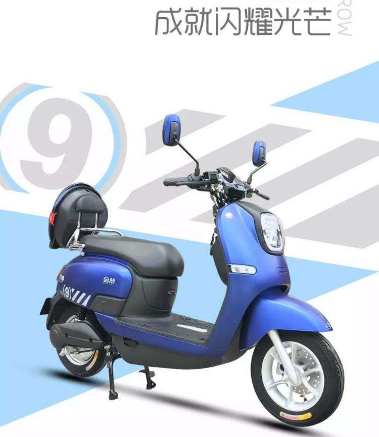 雅迪台铃爱玛小牛哪个好,雅迪电动车两轮品牌排行榜前十名