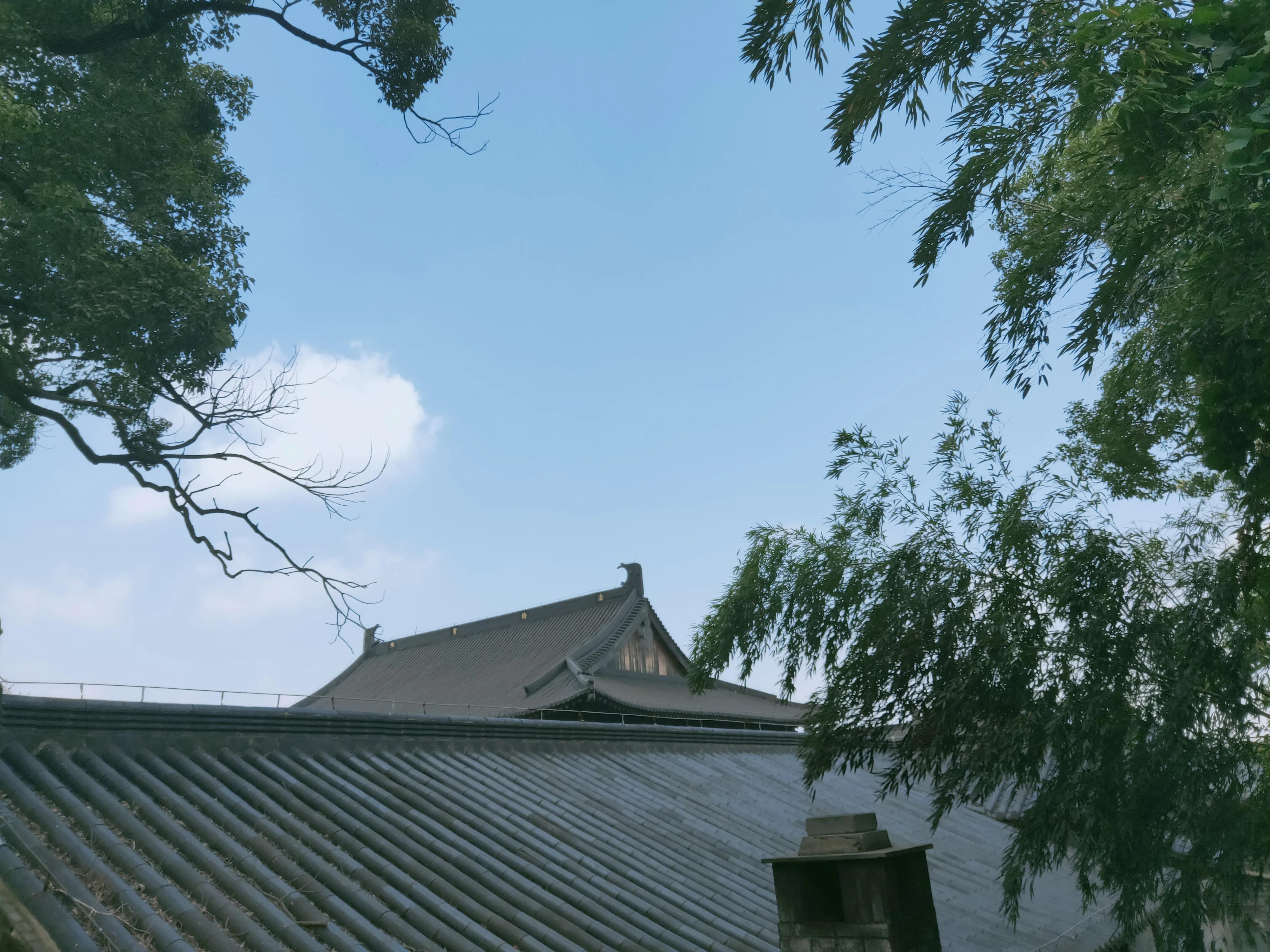 宁波伏龙山景区,慈溪伏龙山滑翔伞基地