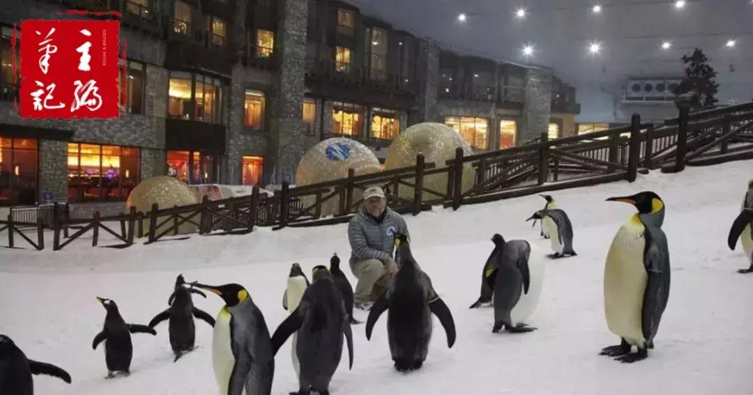 鏈変紒楣呯殑鍦版柟鏈夋粦闆殑鍦版柟,杩嫓娌欐紶婊戦洩