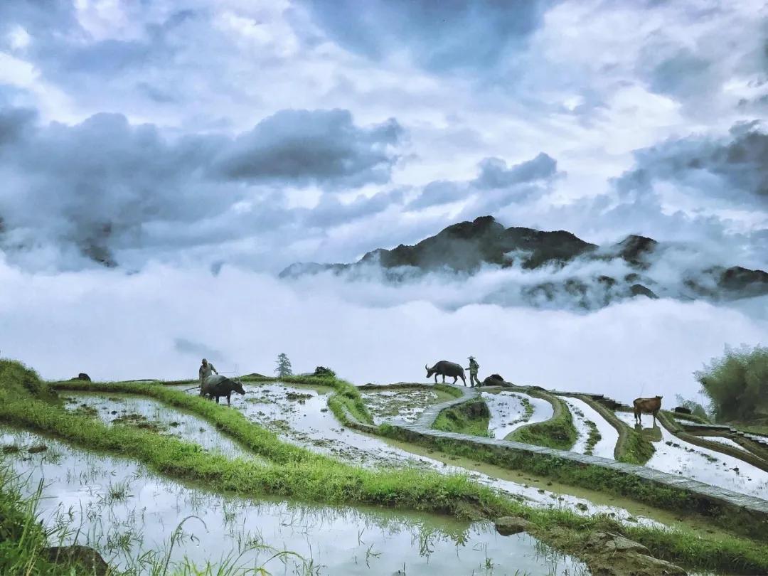 五一去哪里玩小众又景色美,贵州五一自驾小众